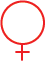 DAMENSCHNITT